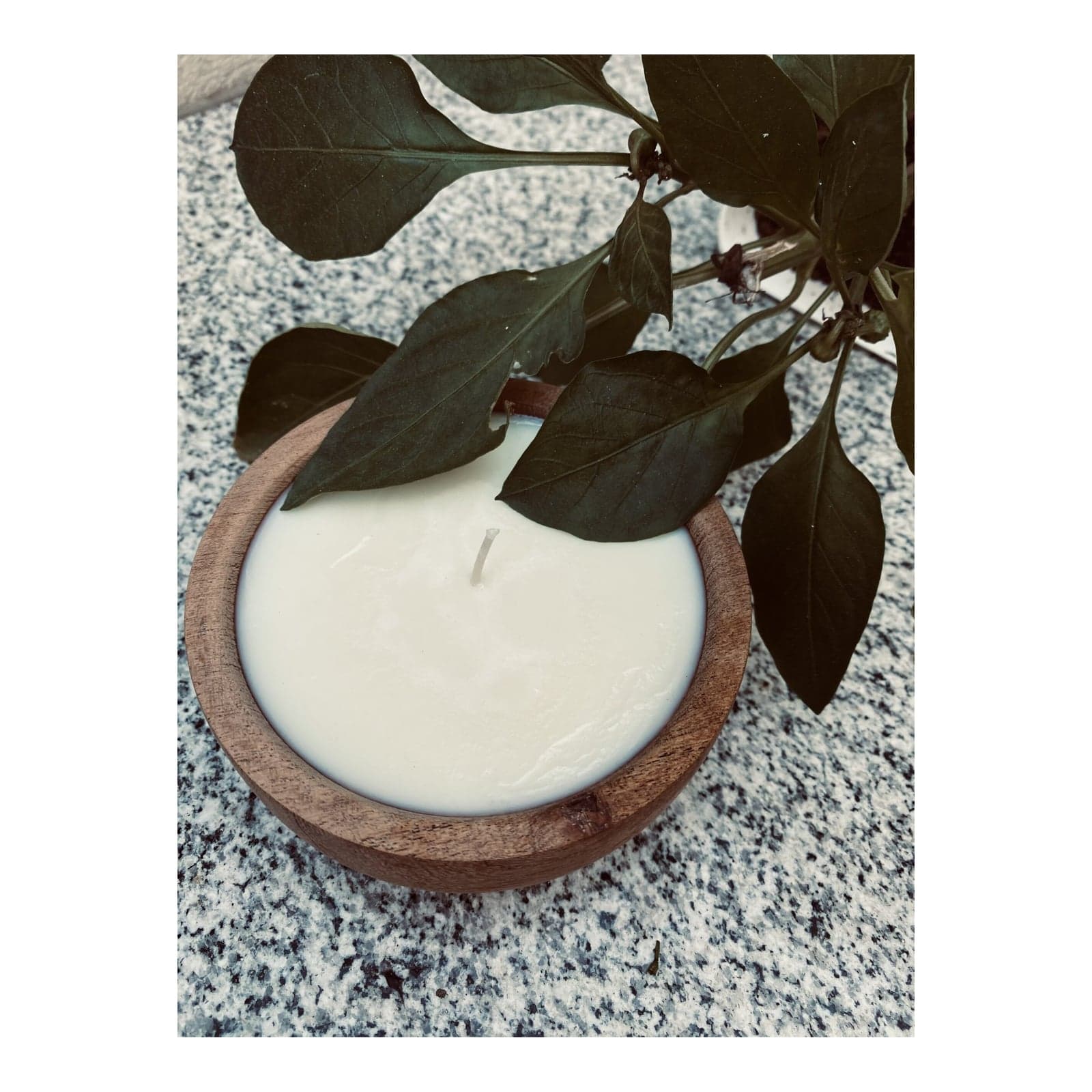 Vela Alba